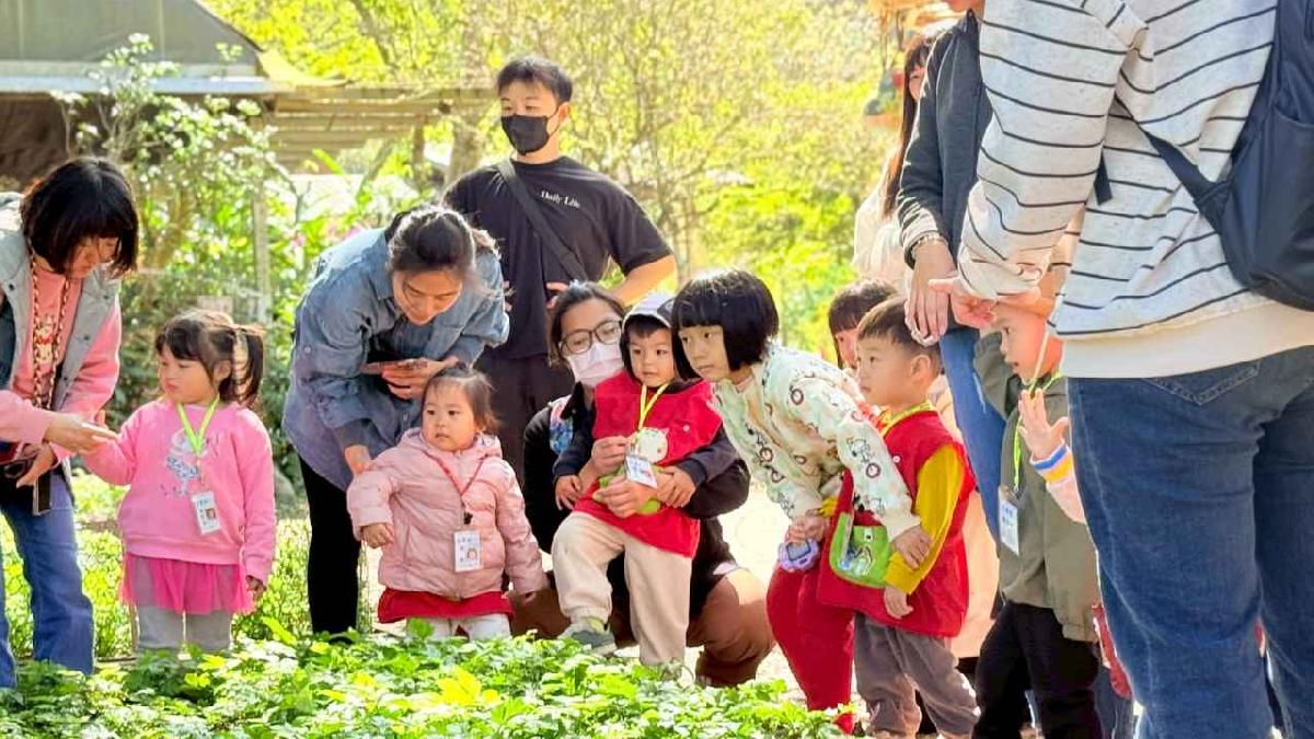 line_album_20260311校外教學好時節休閒農場_260312_724