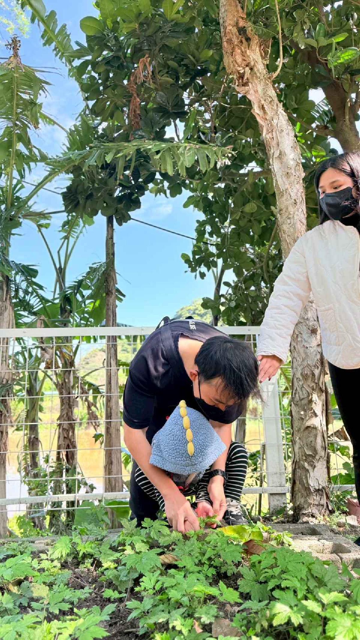 line_album_20260311校外教學好時節休閒農場_260312_719