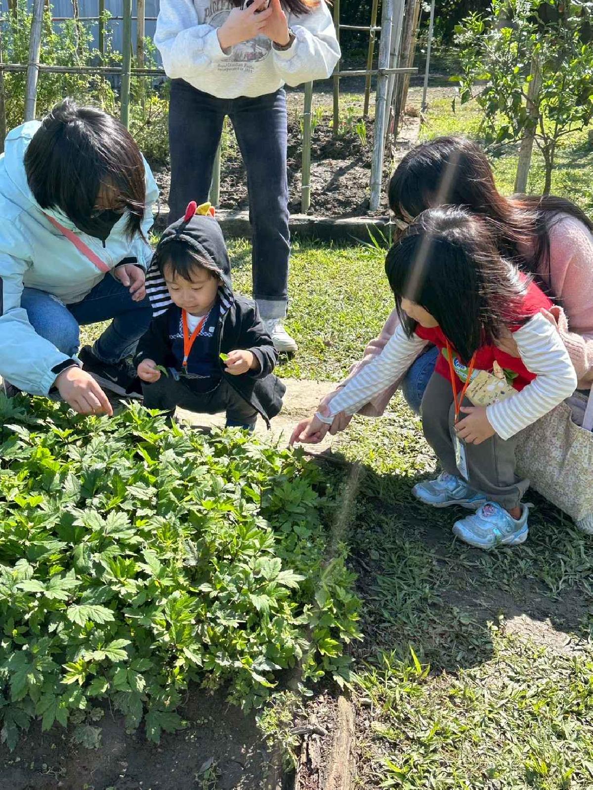 line_album_20260311校外教學好時節休閒農場_260312_879