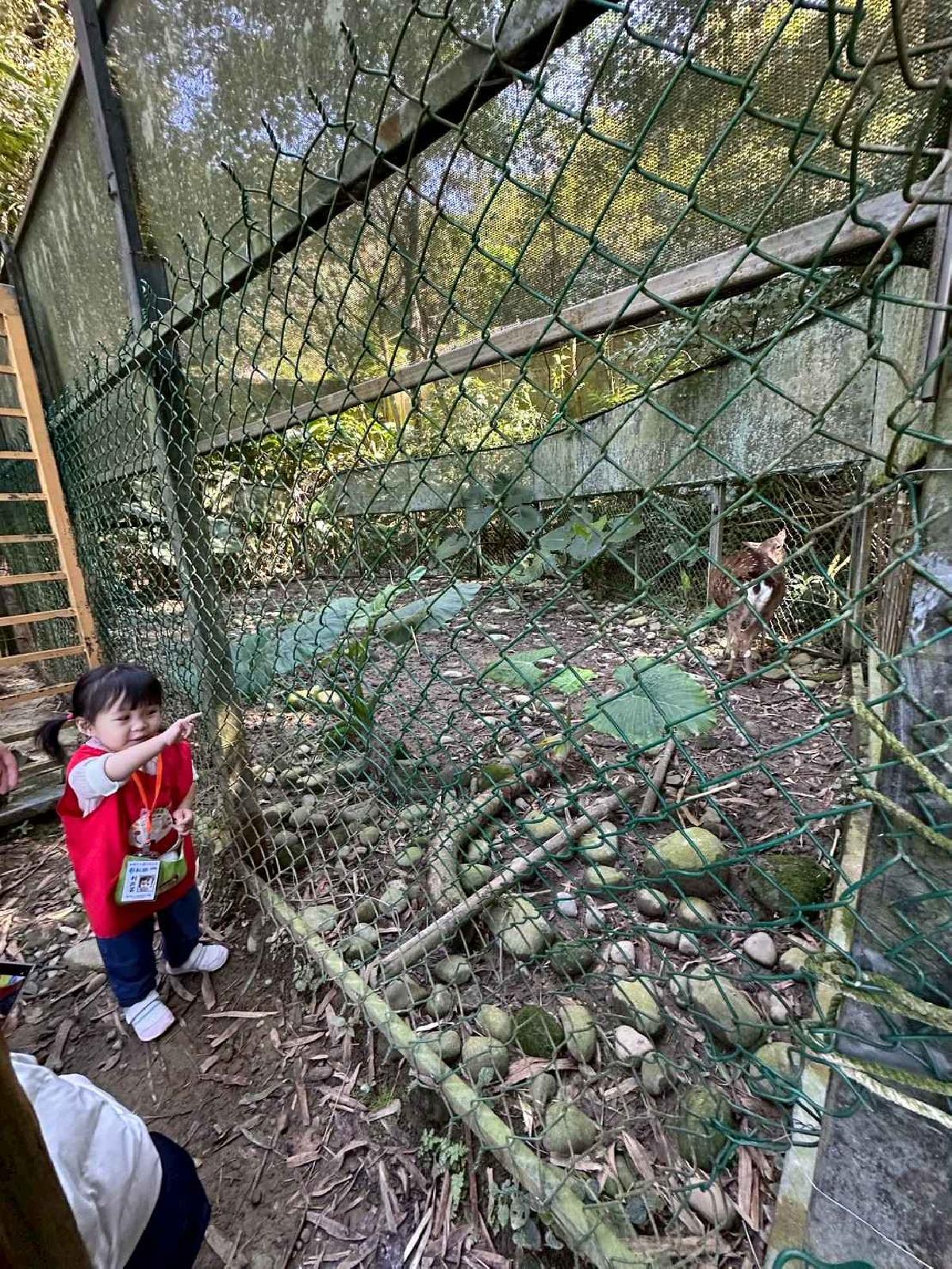 line_album_20260311校外教學好時節休閒農場_260312_938