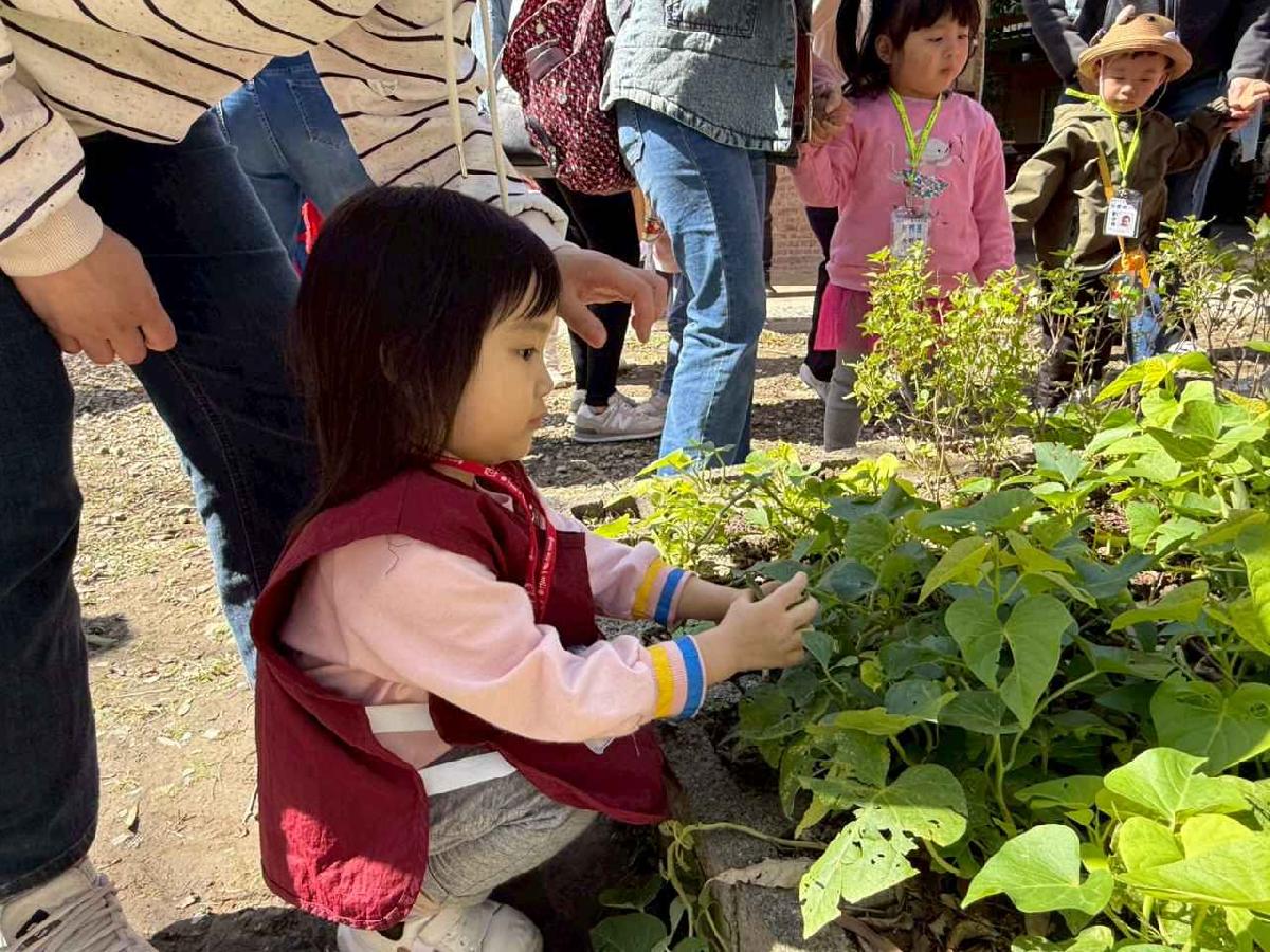 line_album_20260311上竹校外教學好時節農場_260312_177