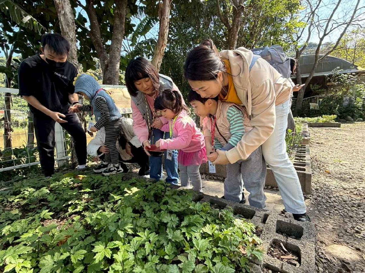 line_album_20260311上竹校外教學好時節農場_260312_186