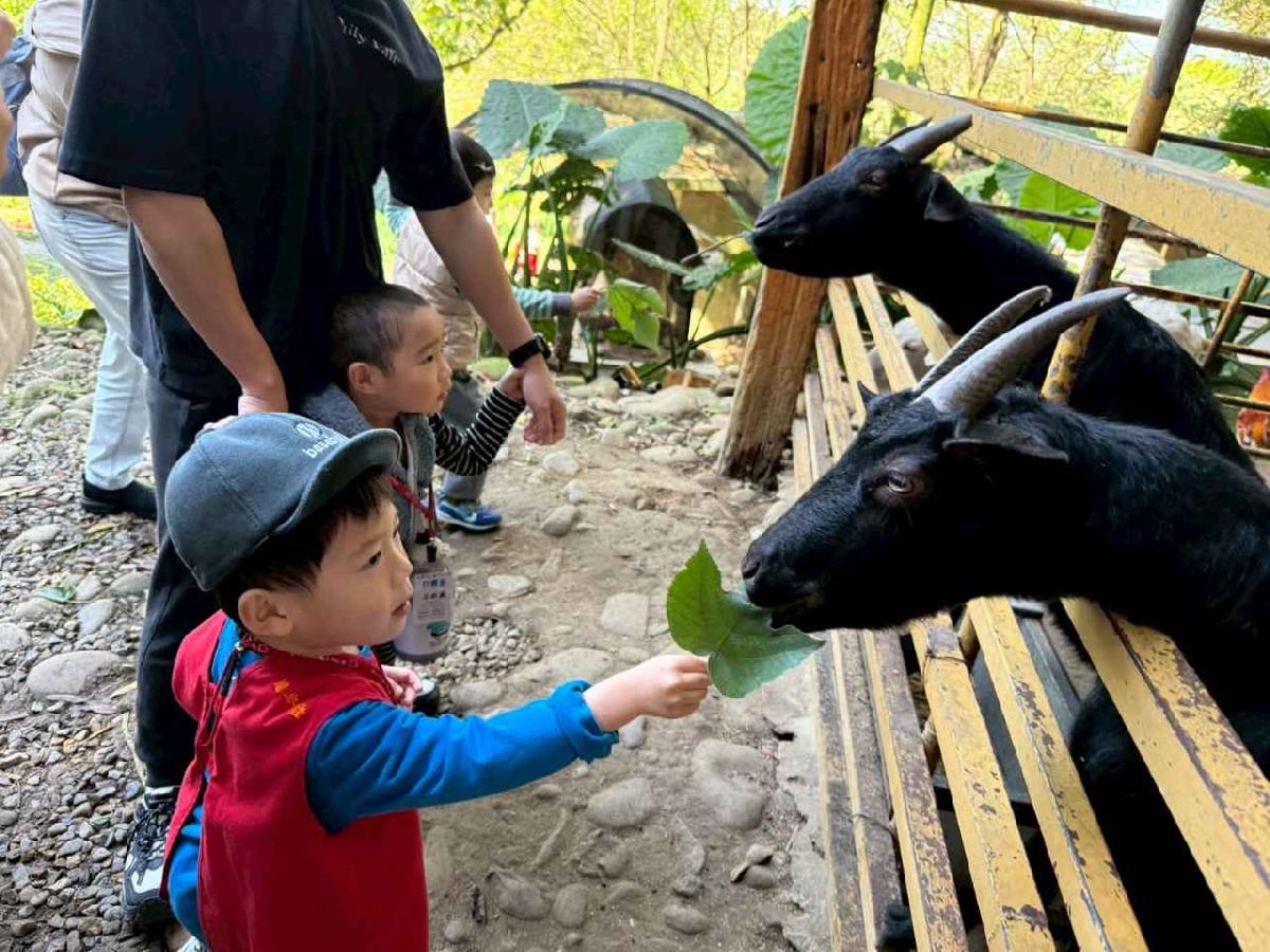 line_album_20260311上竹校外教學好時節農場_260312_226