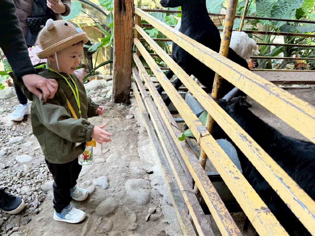 line_album_20260311上竹校外教學好時節農場_260312_237