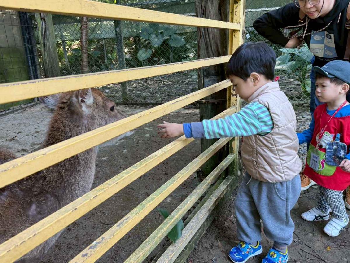 line_album_20260311上竹校外教學好時節農場_260312_238