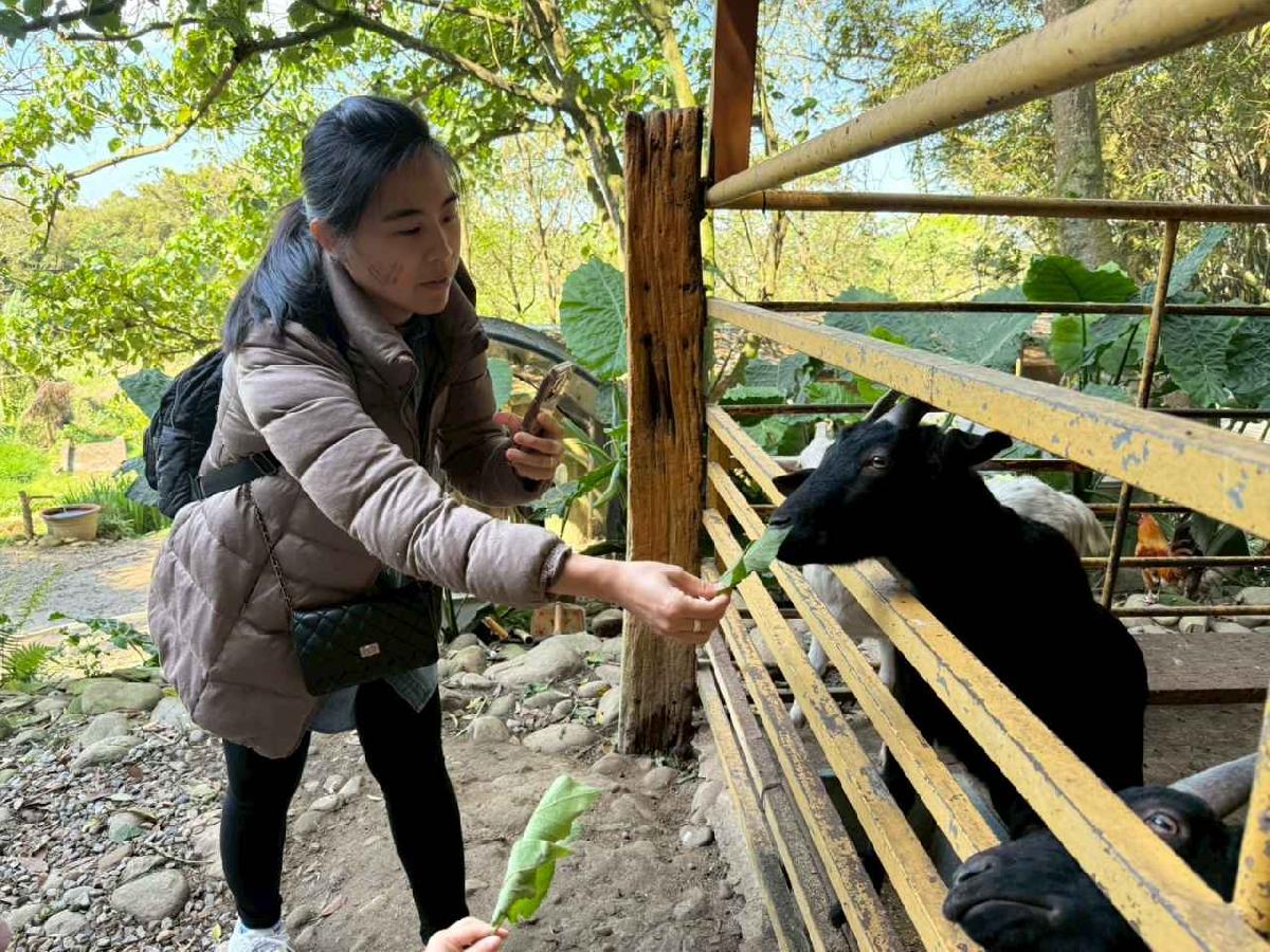 line_album_20260311上竹校外教學好時節農場_260312_240