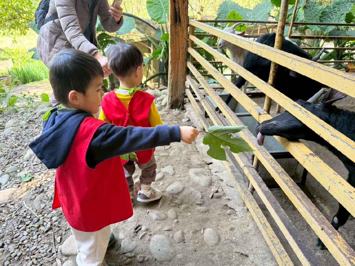 line_album_20260311上竹校外教學好時節農場_260312_242