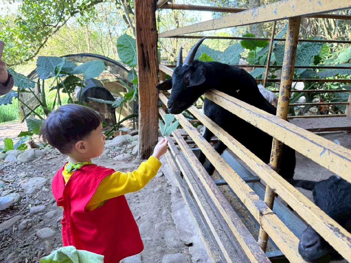 line_album_20260311上竹校外教學好時節農場_260312_243