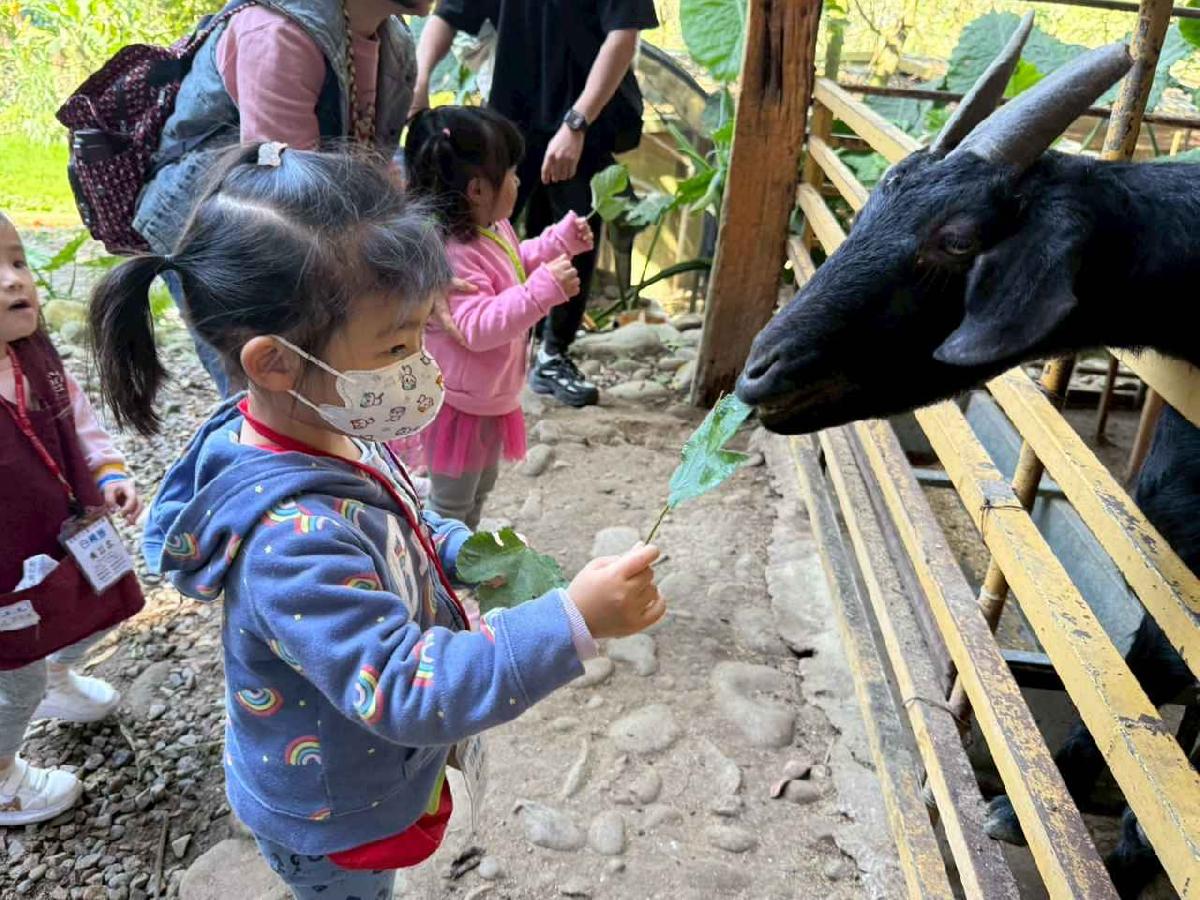 line_album_20260311上竹校外教學好時節農場_260312_249