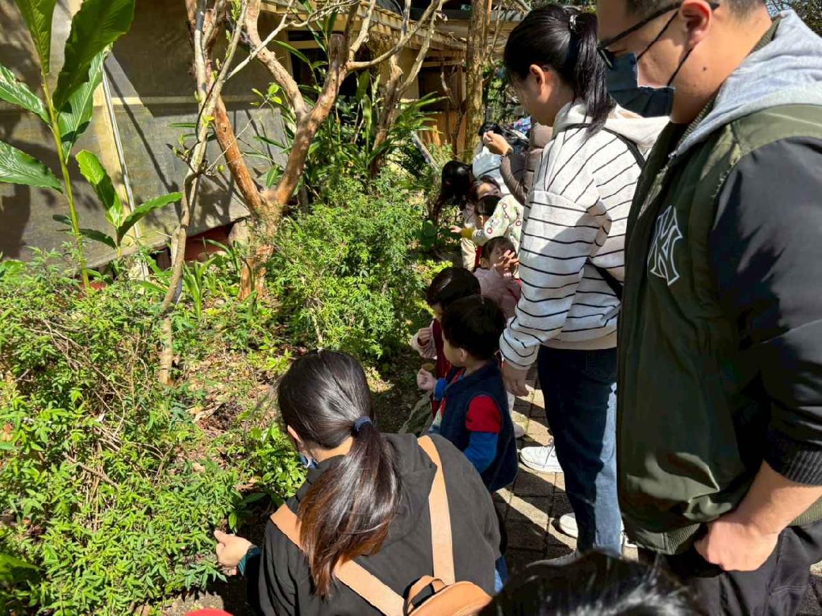 line_album_20260311上竹校外教學好時節農場_260312_360