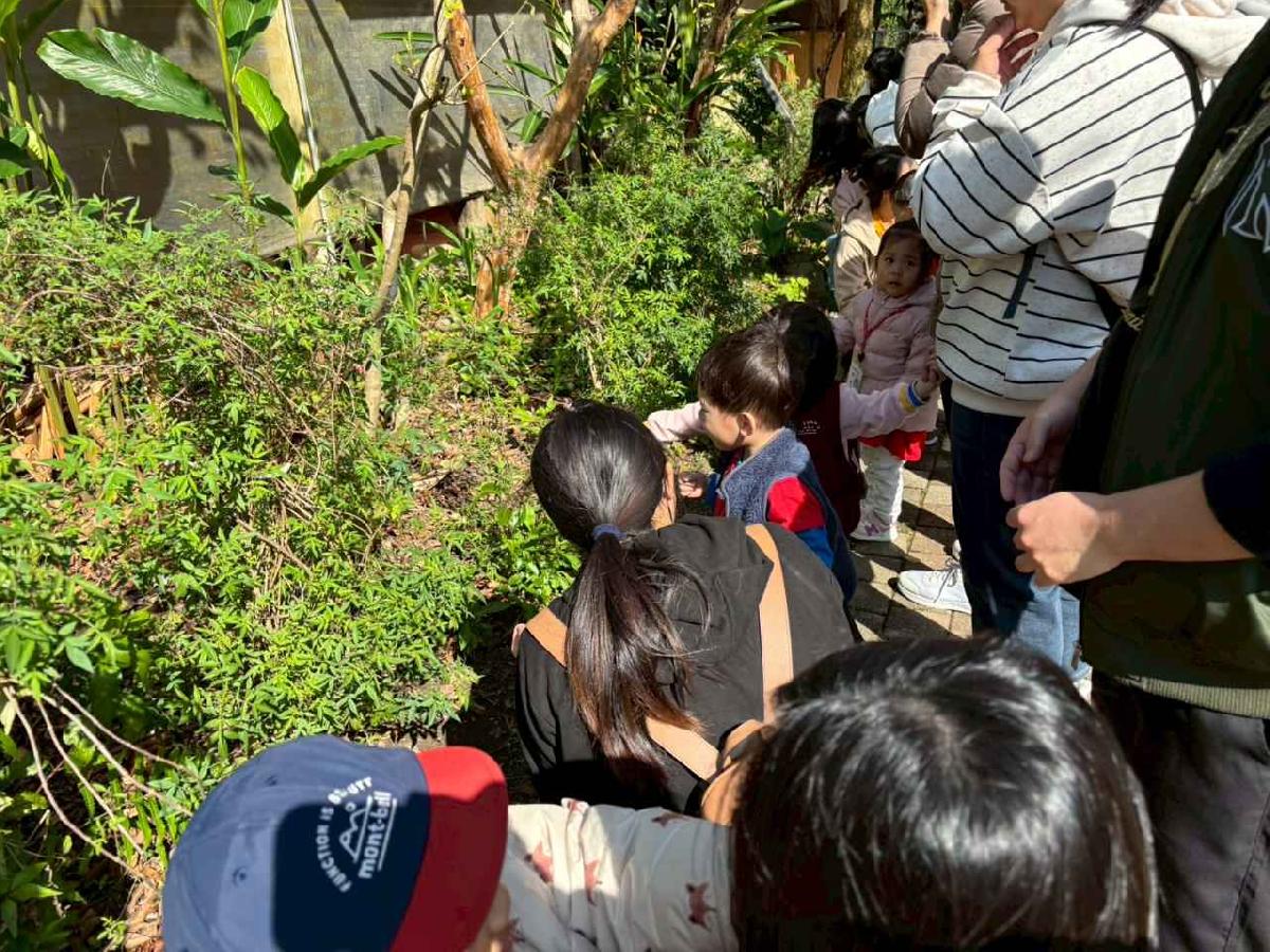 line_album_20260311上竹校外教學好時節農場_260312_361