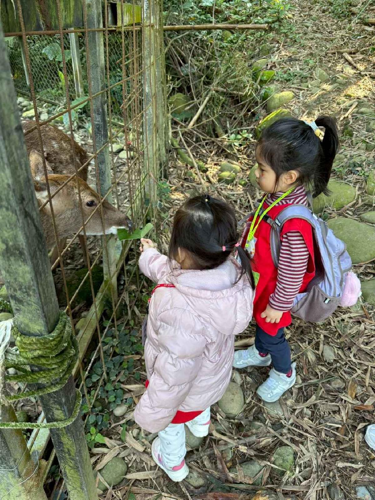 line_album_20260311校外教學好時節休閒農場_260312_120